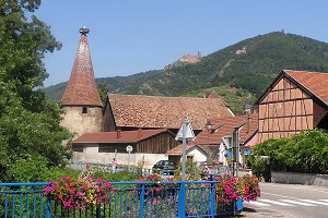 Les chateaux de Ribeauvillé