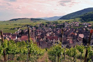 Riquewihr, vue des vignes